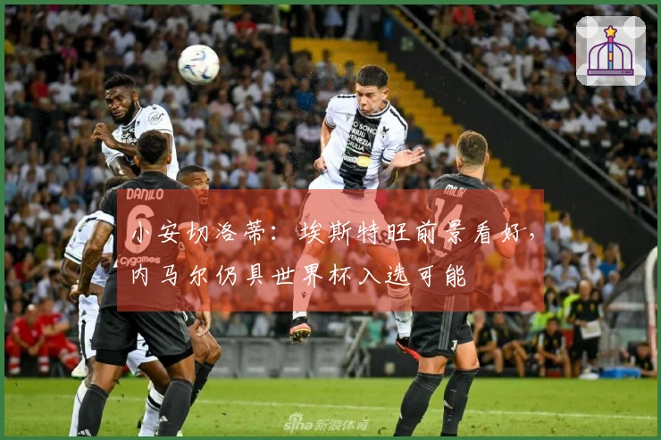 小安切洛蒂：埃斯特旺前景看好，内马尔仍具世界杯入选可能