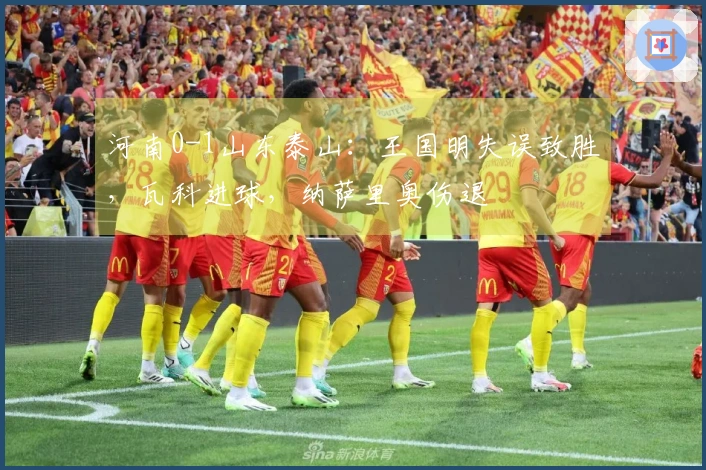 河南0-1山东泰山：王国明失误致胜，瓦科进球，纳萨里奥伤退