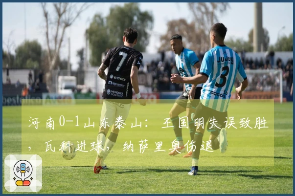 河南0-1山东泰山：王国明失误致胜，瓦科进球，纳萨里奥伤退
